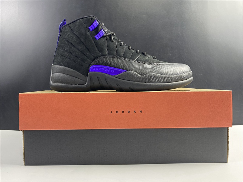Air Jordan 12 Dark Concord(CT8013-005)